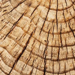 Indoor/Outdoor Faux Concrete Stump Accent Table Brown - Threshold™ Designed With Studio McGee -Threshold Designed W/Studio Mcgee GUEST 03deabfd 2b62 4725 94b4 09a321ea8678