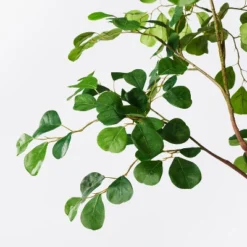 Threshold Designed W/Studio Mcgee -Threshold Designed W/Studio Mcgee GUEST 16a3ea1a b285 458b 9778 b3e637de7cfd