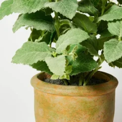 Artificial Potted Mint Leaf - Threshold™ Designed With Studio McGee -Threshold Designed W/Studio Mcgee GUEST 19a08200 78b7 461e bcd9 c962450d4305