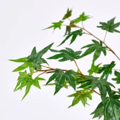 Threshold Designed W/Studio Mcgee -Threshold Designed W/Studio Mcgee GUEST 246a406c 5c01 4ed6 acdd 1203a7cca8a7