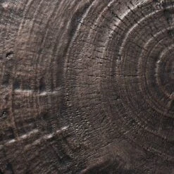 Grantsville Drum Accent Table Black - Threshold™ Designed With Studio McGee -Threshold Designed W/Studio Mcgee GUEST 2a48e59f 9a1e 4d95 a641 6710dbd36ebe