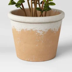 Artificial Medium Boxwood In Terracotta Pot Green - Threshold™ Designed With Studio McGee 9 Artificial Medium Boxwood In Terracotta Pot Green - Threshold™ Designed With Studio McGee -Threshold Designed W/Studio Mcgee GUEST 3859bebc ef74 4067 b0a8 d2730a37750b