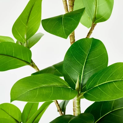 Banyan Leaf Potted Tree - Threshold™ Designed With Studio McGee 4 Banyan Leaf Potted Tree - Threshold™ Designed With Studio McGee - Image 2