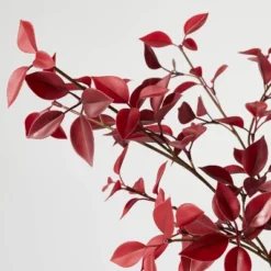 Eucalyptus Leaf Arrangement Burgundy - Threshold™ Designed With Studio McGee 6 Eucalyptus Leaf Arrangement Burgundy - Threshold™ Designed With Studio McGee -Threshold Designed W/Studio Mcgee GUEST a17c1855 0816 4405 996c 2cb03582a5c1