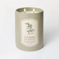 20oz Ceramic Blackberry Eucalyptus Candle Green - Threshold™ Designed With Studio McGee -Threshold Designed W/Studio Mcgee GUEST cf6cac59 7399 414d aa5a 9e6927eecaee