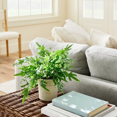 Medium Ribbon Fern Leaf In Pot - Threshold™ Designed With Studio McGee 3 Medium Ribbon Fern Leaf In Pot - Threshold™ Designed With Studio McGee