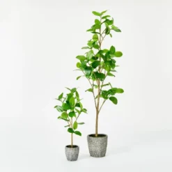 Banyan Leaf Potted Tree - Threshold™ Designed With Studio McGee 9 Banyan Leaf Potted Tree - Threshold™ Designed With Studio McGee -Threshold Designed W/Studio Mcgee GUEST e0836b00 df5f 43ba bf4c e16aa35005ea